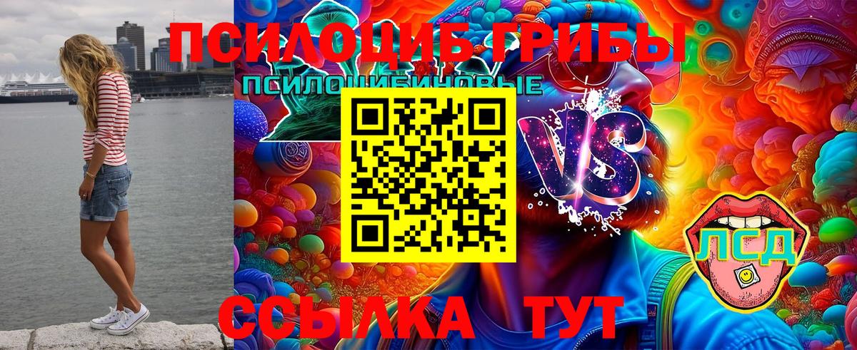Донской  Псилоцибиновые грибы GOLDEN TEACHER  Вход с VPN 